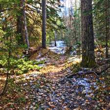 Ware Creek Provincial Recreation Area | 20415 Range Rd 52A, Bragg Creek, AB T0L 0K0, Canada