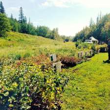 MacKinnon Food Forest | River Valley Capitol Hill, Edmonton, AB T5N 3M7, Canada