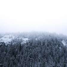Far North Visuals | 3527 Montana Dr, Campbell River, BC V9W 8G8, Canada