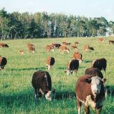 Coulee Crest Farms | 28050 Township Rd 342, Bowden, AB T0M 0K0, Canada