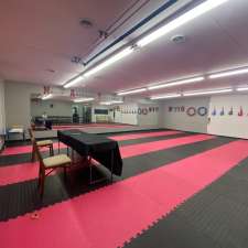 North American Taekwondo Academy | 59 Kirby Ave, Dundas, ON L9H 6P3, Canada