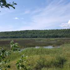 Bognor Marsh Management Area | 104277 Grey County Rd 18, Bognor, ON N0H 1E0, Canada