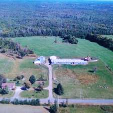 Chateau des Animaux | 380 1e Rang E, Saint-Joachim-de-Shefford, QC J0E 2G0, Canada