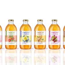 Nectr Kombucha | 2049 Little Hawk Lake Rd, Algonquin Highlands, ON K0M 1J2, Canada
