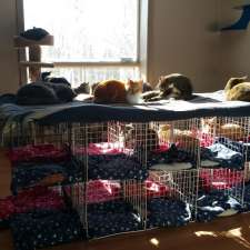 Pet Save | 1j1, 58 Jacobson Dr, Lively, ON P3Y 1C3, Canada