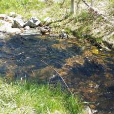 Maggs Park | 5-13 Beryl Dr, Logan Lake, BC V0K 1W0, Canada