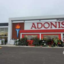 Marché Adonis | 1700 Rue Bouvier, Québec, QC G2K 1N8, Canada