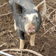 4th Line Cattle Co | 5682 Fourth Line, Hillsburgh, ON N0B 1Z0, Canada