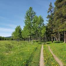 Sulphur Springs Trail | Sulphur Springs Trail, Bragg Creek, AB T0L 0K0, Canada