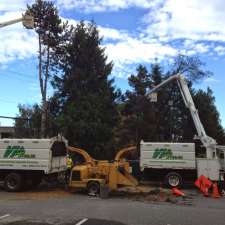 VI Tree Service | 7012 Aulds Rd, Lantzville, BC V0R 2H0, Canada