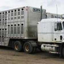 Kevin McArthur - Livestock Trucking | 554447 Mono-Amaranth TLine, Mono, ON L9W 5M8, Canada