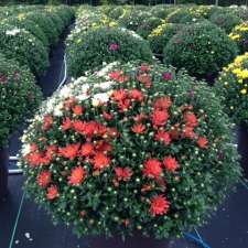 K&K Greenhouses | 1852 Concession Rd 6 W, Branchton, ON N0B 1L0, Canada
