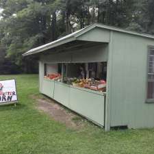 Aurora Collision | 7117 Olean Rd, South Wales, NY 14139, USA