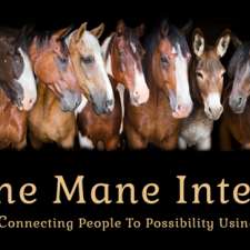 The Mane Intent Inc. | 2410 Cameron Line, Indian River, ON K0L 2B0, Canada
