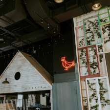 Restaurant Birdhouse Wingerie & Bar | 63 Bd Brunswick, Dollard-des-Ormeaux, QC H9B 2N4, Canada