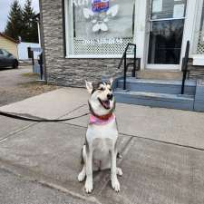 Ruff Cuts Dog Grooming | 110 Queen St, Lindsay, ON K9V 1G8, Canada