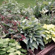 Stonewood Gardens Perennials Annd Tropical Plants | 367 Ervine Rd, Thomasburg, ON K0K 3H0, Canada
