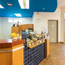 Globalvet - Veterinary Clinic Loretteville | 10935 Boulevard de l'Ormière, Québec, QC G2B 3L5, Canada