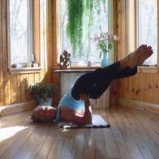 Troy Springer Yoga | 11 Dale St, Bancroft, ON K0L 1C0, Canada