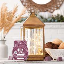 Heather Martin - Independent Scentsy Consultant | hwy 45, Norwood, ON K0L 2V0, Canada