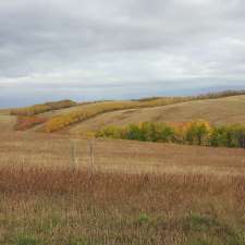 Readman Ranch | Unnamed Road 2P0, Richard, SK S0M 2P0, Canada