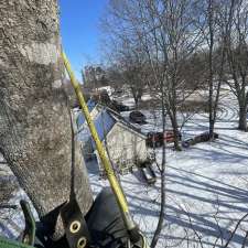 Indie Tree Service | 9717 Nova Scotia Trunk 10, Nictaux, NS B0S 1P0, Canada