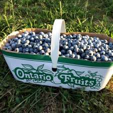 Blue Horizon Blueberry Farm | 855218 Gobles Rd, Princeton, ON N0J 1V0, Canada