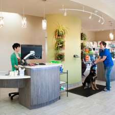Green Acres Animal Hospital | 4631 24 Ave S, Lethbridge, AB T1K 7C1, Canada