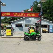 VALLEY VARIETY GOCO GAS | 5982 Plank Rd, Vienna, ON N0J 1Z0, Canada