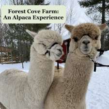 Forest Cove Alpacas & Country Market | 32129 ON-17, Chalk River, ON K0J 1J0, Canada