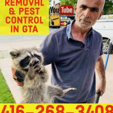 TSR Pest Control & Wildlife Removal Mississauga | 2 Betteridge Ln, Etobicoke, ON M9V 4E8, Canada