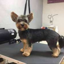Follow your paws grooming salon | 90 Huron St, Guelph, ON N1E 5L6, Canada