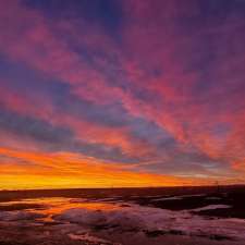Windiana Farms Ltd | 101059, Range Rd 151, Purple Springs, AB T0K 1X0, Canada