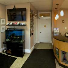 Custom Orthotics Of London | 240 Richmond St, London, ON N6B 2H6, Canada