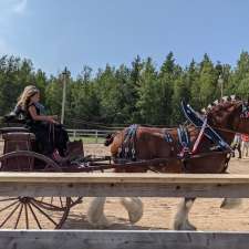 Petitcodiac Arena | 43 Corey Ave, Petitcodiac, NB E4Z 4G3, Canada