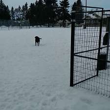 Dog Park | Crossfield, AB T0M 0S0, Canada