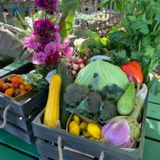 Ateliers à la Terre Garden | Accès derrière le cabanon au fond du stationnement, 2400 Av. D'Estimauville, Québec, QC G1E 6W2, Canada