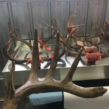 Western Trophy Outfitters & Great Grey Outfitters | SK-55, box #29, Foxford, SK S0J 0Y0, Canada