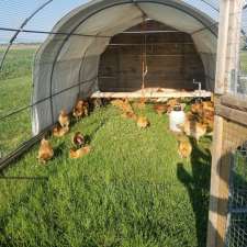 Rosenglitter Care Farm | 8061 2 Line, Arthur, ON N0G 1A0, Canada
