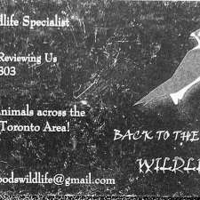 Back to the Woods Wildlife | 120 Terry Clayton Ave, Beaverton, ON L0K 1A0, Canada