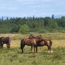 Emerald Acres Horse Boarding | 2517 Alberni Hwy, Coombs, BC V0R 1M0, Canada