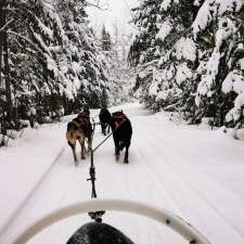 Chien Aventures/Sled Dog Adventures | 5586 route 134, Allardville Parish, NB E8L 1A8, Canada