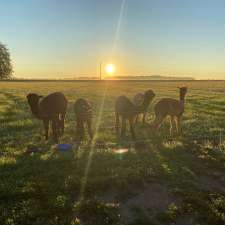 Pacalaca Farm | 35109 Maguire Rd, Ailsa Craig, ON N0M 1A0, Canada