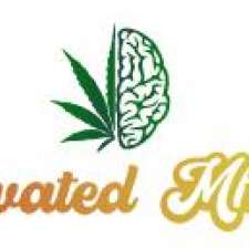 Elevated Minds Cannabis Shop | Stoney Creek | 570 Hwy 8 Unit 2, Stoney Creek, ON L8G 4M2, Canada