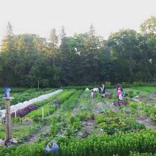 York University Maloca Community Garden | Village at York University, Toronto, ON M3J 1L4, Canada