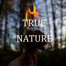 True Nature Counseling- Matthew Fogarty | 2582 N Shore Rd, Bellingham, WA 98226, USA