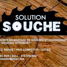 Solution souche | 1085 Rue Sanborn, Ayer's Cliff, QC J0B 1C0, Canada