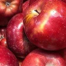 Nutrition by Tatiana | 42 Quinella Pl, London, ON N6K 4H3, Canada