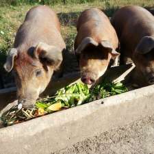 Zettel Family Farms Organic | 83 Concession Rd 6, Cargill, ON N0G 1J0, Canada