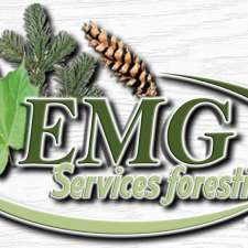 Services forestiers EMG | 358 Rue Principale, East Broughton, QC G0N 1G0, Canada